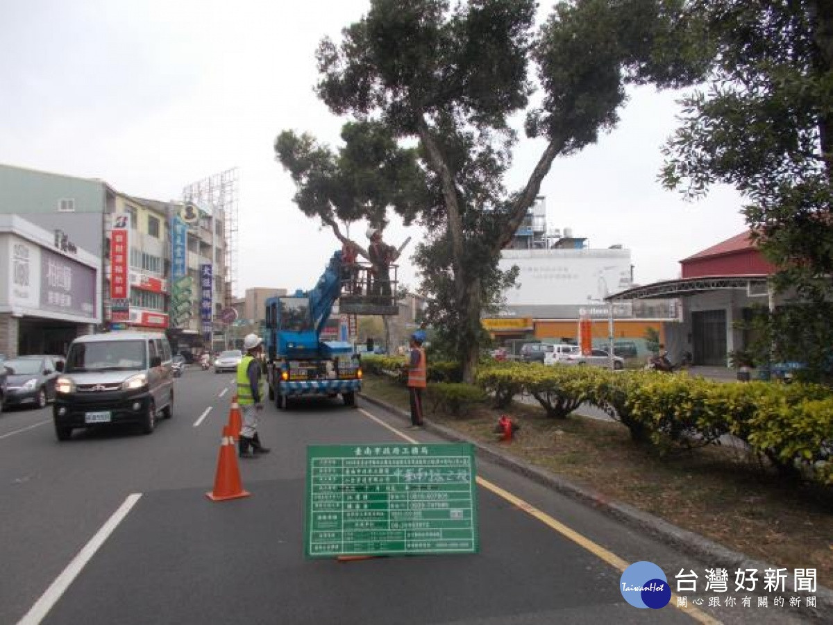 防患未然南市府修剪路樹維護行車安全 台灣好新聞taiwanhot