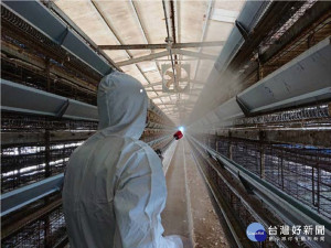 為防禽流感，農業局針對禽場進行消毒。