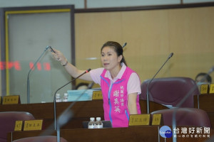 ▲市議員謝美英質詢交通道路規劃，建議研究改善。（圖／桃園市議會提供）