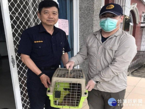 山羌因傷受困水溝　警民協助救護安置（圖／頭份分局）
