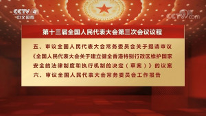 中國人大預定審議「香港版國安法」，該草案提及北京將根據需要，在香港設立「國家安全機構」，依法履行維護「國家安全」職責。（圖／CCTV中文國際YouTube）