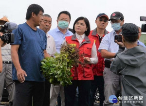 張麗善縣長邀台南區農改場、農糧署中區分署等單位勘查虎尾鎮玉米倒伏情形，並建請農委會公告辦理救助，受害率達20%以上即可向當地公所提出申請。