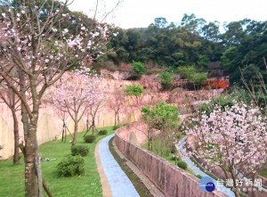 新北市首創全國推出「身後關懷計畫」，民眾可自行選擇預葬的環保葬地點，身後並由新北市府免費協助參加聯合奠祭及環保葬，預估每人至少可節省喪葬費用約25萬元