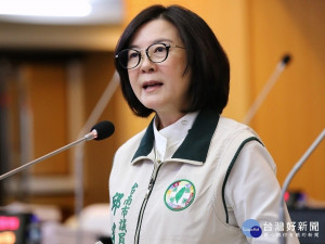 台南市議員邱莉莉（圖／資料照）　