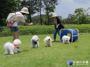 動保處6日與朱銘美術館攜手合作，在美術館區內共同舉辦「狗狗野餐運動會」公益活動，現場約有150位飼主帶著毛寶貝一同參加