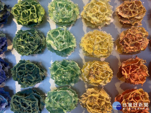 《無胎琺瑯實驗計畫》成功翻轉琺瑯與載體的主從關係，單獨表現琺瑯的美