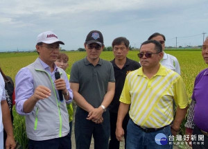 立委劉建國邀農委會主委陳吉仲會勘崙背花生災損，啟動雲林花生天然災害現金救助，亦宣布延長鳳梨收購次級品時間，協助穩定鳳梨價格。