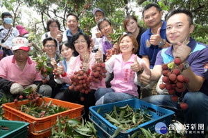 王惠美關心荔枝產銷情形，彰化縣議員温芝樺、李寶銀、張瀚天、黃千宴、芬園鄉長林世明、農糧署分署長楊宏瑛、農業處長邱奕志、芬園鄉農會理事長葉豐樑、總幹事黃翊愷、員林市總幹事黃豐盛、社頭鄉農會總幹事蕭浚二、彰化市農會總幹事白閔傑等人參與體驗採果樂趣。圖／記者鄧富珍攝