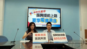 （圖／翻攝自國民黨立院黨團臉書）
