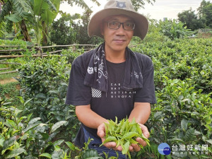 粟益民曾在107年石碇東方美人茶評鑑獲得頭等獎，今年更上一層樓，以出眾蜜香味打動評審師，奪下「新北美人茶王」封號