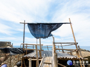 黃金博物館下半年度準備了各式主題及不同類型的活動，豐富後防疫生活