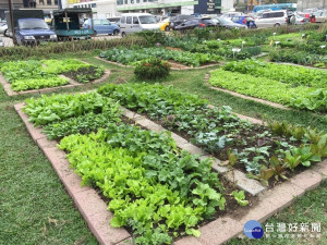 新板可食地景體驗營即日起將開放報名至109年8月14日(五)止，共計有150個名額，園圃種植使用時間為期1年