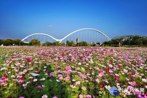 謝處長提出3個水岸願景，首先就是在10年內打造至少3條生態水岸休憩空間，將生態融入日常休憩環境，讓新北成為知名的生態水岸城市