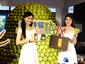 為推廣新北文旦柚，新北市政府農業局與八里區農會今(8)日辦理新北文旦柚上市記者會
