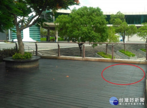 為了讓休閒散步的民眾有更多不同體驗，願景公園自9月起開放願景公園2處場地，提供予街頭藝人申請街頭表演使用