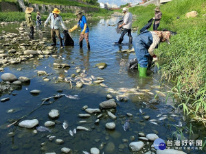 中市加裝30台水盒子　即時監控水環境