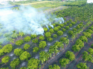 因應空品不良季節　屏縣加強取締露天燃燒（圖／屏東縣政府）