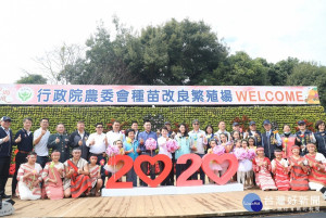 新社花海暨台中國際花毯節登場　盧秀燕：歡迎民眾來趟類出國體驗