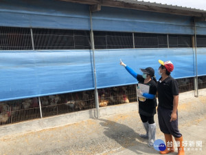 109年4月1日起，防檢局稽查小組加強禽場拍照舉報，並移請家畜所開罰3至15萬元／陳致愷翻攝