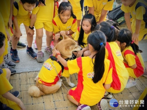 新北市動保處辦理校園犬影片網路人氣票選活動成績出爐，第1名是中和區自強國小萌萌
