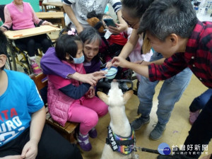 讓心輔犬進入特教班，透過與狗狗互動學習如何尊重生命及動物保護觀念，從小養成對動物及他人的同理心和耐心，撫慰特殊兒童心靈。