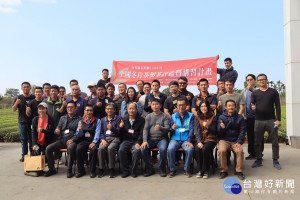 名間公所舉辦冬片茶賽參賽愈趨踴躍。（記者扶小萍攝）