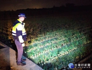 臺西警方聽見農民朋友的心聲，加強「護農專案」的執行，讓老農將守護洋蔥的工作交給警方，安心返家休息。