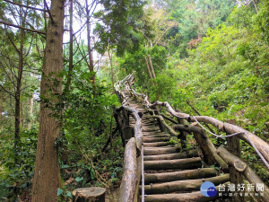 台中大坑步道橋樑全面健檢　登山遊憩揪安心