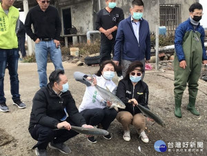 寒流來襲，台西養殖漁作災情慘重，立委蘇治芬邀漁業署官員現勘，確認已達到天然災害救助標準，可申請現金補助或低利貸款。