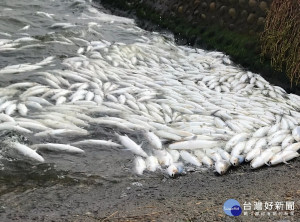 寒害導致沿海虱目魚大量死亡，經農委會公告為天然災害現金救助與低利貸款，雲縣府加碼補助處理費每公頃3000元力挺漁民復養作業。