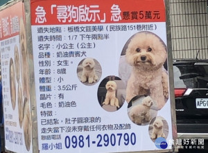愛犬走失懸賞5萬，飼主租廣告車遊街尋找