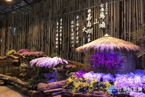 台灣國際蘭展。