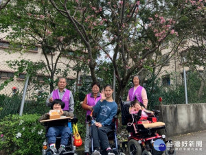 八里愛心教養院志工推輪椅陪院生在吉野櫻花樹下野餐 