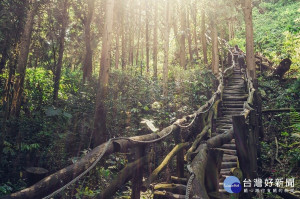 大坑4號步道（圖／台中市政府）