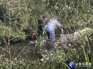 新北市環保局逮獲畜牧場排污水
