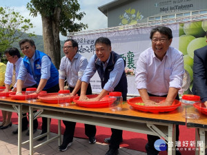 今年南投縣梅子節改推「手作青梅」及「來去山上煮一餐」等多元系列食農教育體驗，26日記者會與會貴賓一起體驗ＤＩＹ手作脆梅。(圖/記者吳素珍攝)