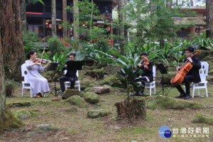 國台交弦樂四重奏在森林下演奏。（記者扶小萍攝）
