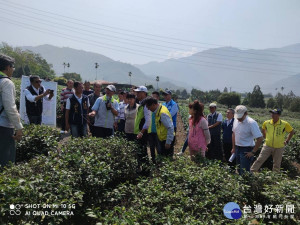 行政院中部聯合服務中心執行長蔡培慧與農委會主委陳吉仲實地走訪竹山茶鄉