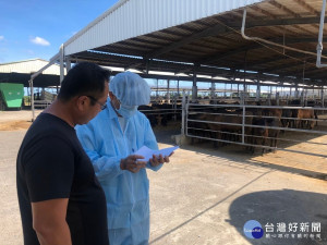 嘉義縣完成全縣牛場疫調／陳致愷翻攝