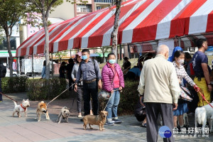 嘉義市政府公告「嘉義市動物保護自治條例」草案／陳致愷翻攝