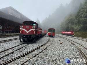 阿里山林鐵／陳致愷翻攝