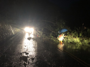 梅雨鋒面信義山區強降雨，信義鄉台21線98公里處路樹傾斜斷裂，造成雙向交通中斷。