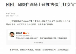 （圖／翻攝《環球時報》官網）