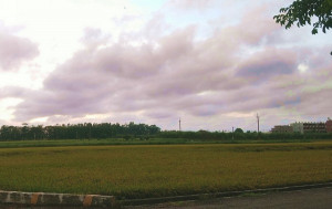 嚴防豪大雨對於農作物造成災損，雲林縣政府籲請農友在安全前提下，確實做好農作物災害防範措施及災損存證。