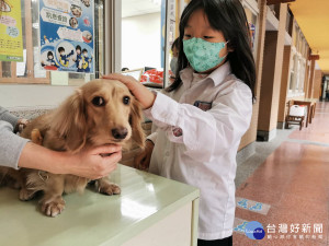 板橋國小以校狗小安為名設置「小安空中信箱」，讓孩子倍感親切