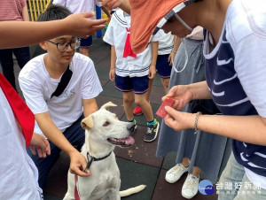 AKI在今年3月受訓畢業，成為更穩重和守規矩的乖狗狗，日前入圍校園犬績優學校選拔，成為師生生命教育典範