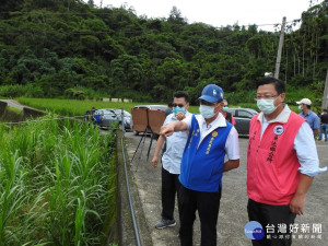魚池鄉茭白筍產地。