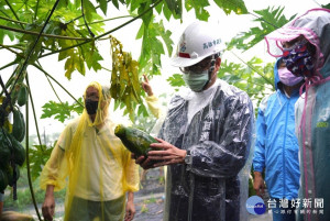 視察豪雨農損　高市府協助農友從優從速爭取救助