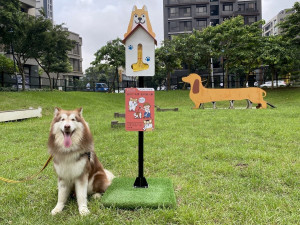 新北市今(9)日在轄內19處公園正式啟用20座「新北可愛柴」造型的狗便（袋）箱