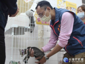 「2021友善動物傑出里長奬」選拔，收件將於8月31日截止